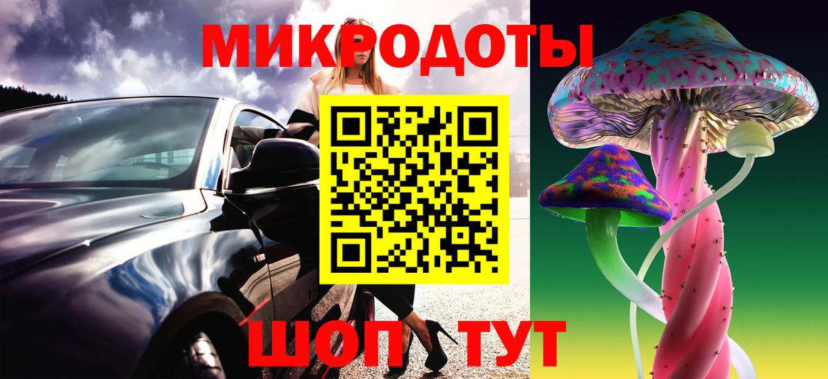 Псилоцибиновые грибы мицелий Ноябрьск